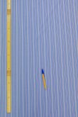 画像6: 80番手コーマ糸オックス風先染めストライプ (6)